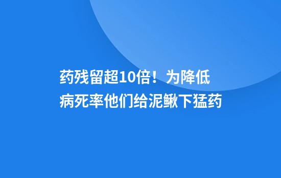 药残留超10倍！为降低病死率他们给泥鳅下猛药