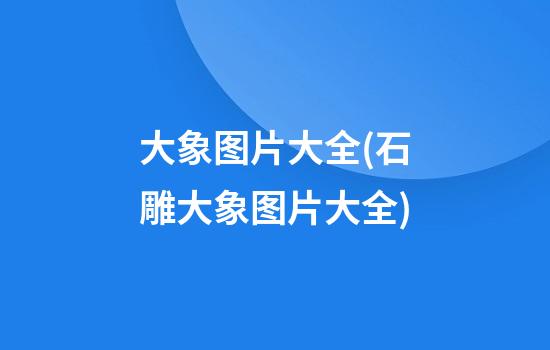 大象图片大全(石雕大象图片大全)