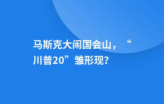 马斯克大闹国会山，“川普2.0”雏形现？